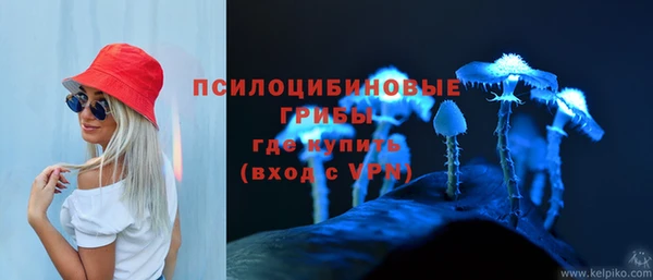 твердый Балабаново