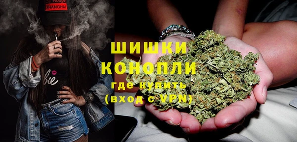 ГАЛЛЮЦИНОГЕННЫЕ ГРИБЫ Баксан